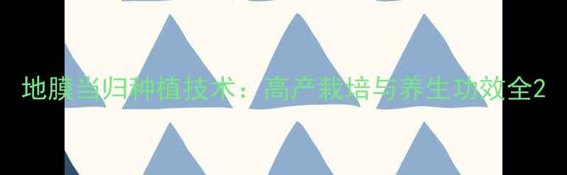 图片 地膜当归种植技术：高产栽培与养生功效全2