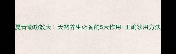 图片 夏青菊功效大！天然养生必备的5大作用+正确饮用方法