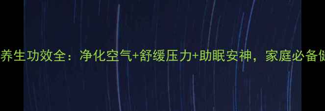 图片 多肉植物养生功效全：净化空气+舒缓压力+助眠安神，家庭必备健康伙伴2