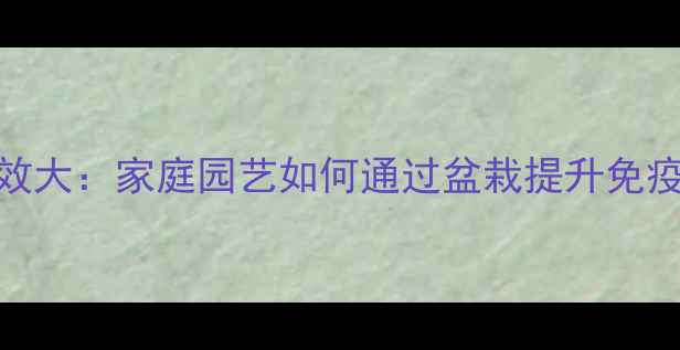 图片 多肉植物养生成效大：家庭园艺如何通过盆栽提升免疫力与心理健康？