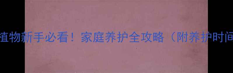 图片 多肉植物新手必看！家庭养护全攻略（附养护时间表）