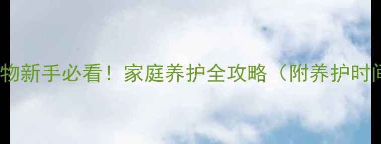 图片 多肉植物新手必看！家庭养护全攻略（附养护时间表）1
