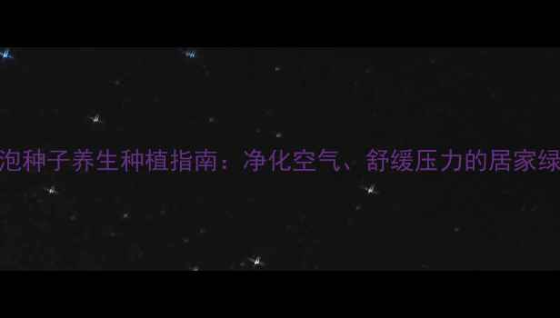 图片 多肉灯泡种子养生种植指南：净化空气、舒缓压力的居家绿植攻略