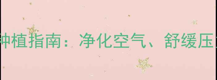 图片 多肉灯泡种子养生种植指南：净化空气、舒缓压力的居家绿植攻略1