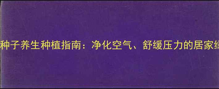 图片 多肉灯泡种子养生种植指南：净化空气、舒缓压力的居家绿植攻略2