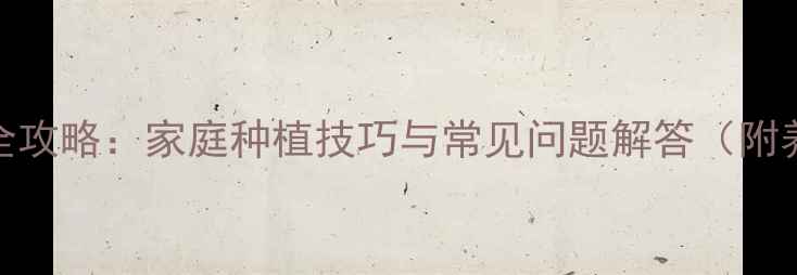 图片 多肉白鸟养殖全攻略：家庭种植技巧与常见问题解答（附养护步骤图解）