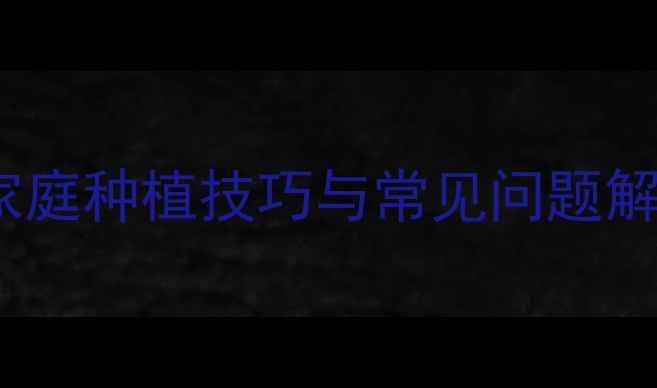 图片 多肉白鸟养殖全攻略：家庭种植技巧与常见问题解答（附养护步骤图解）1
