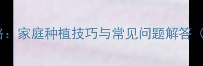 图片 多肉白鸟养殖全攻略：家庭种植技巧与常见问题解答（附养护步骤图解）2
