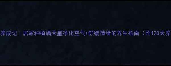 图片 天然美容师养成记｜居家种植满天星净化空气+舒缓情绪的养生指南（附120天养护全流程）