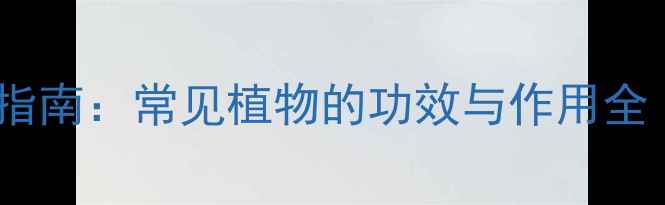 图片 天然草本养生指南：常见植物的功效与作用全（附食疗方）2