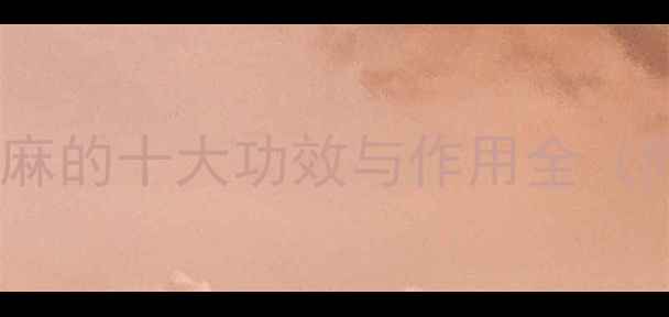 图片 天麻养生必读｜天麻的十大功效与作用全（附科学食用指南）1