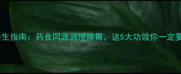 图片 姜厚朴养生指南：药食同源调理脾胃，这5大功效你一定要知道！2
