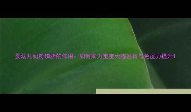图片 婴幼儿奶粉磷脂的作用：如何助力宝宝大脑发育与免疫力提升1