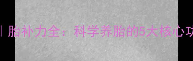 图片 孕期滋补黄金法则｜胎补力全：科学养胎的5大核心功效+搭配禁忌指南2