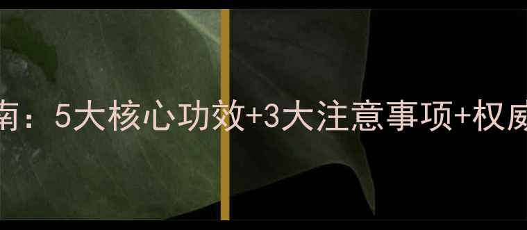 图片 完美人参滴丸养生指南：5大核心功效+3大注意事项+权威认证（附服用建议）