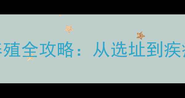 图片 家庭养生兔科学养殖全攻略：从选址到疾病防治的完整指南