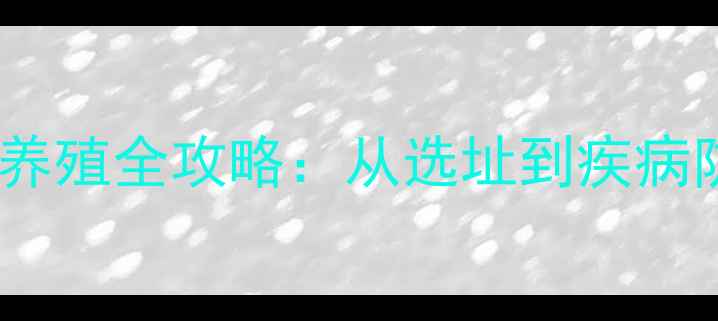 图片 家庭养生兔科学养殖全攻略：从选址到疾病防治的完整指南1