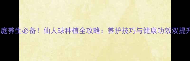图片 家庭养生必备！仙人球种植全攻略：养护技巧与健康功效双提升2