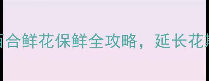 图片 家庭养生必备：百合鲜花保鲜全攻略，延长花期技巧与养生功效