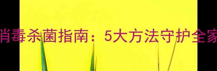 图片 家庭养生必备｜科学消毒杀菌指南：5大方法守护全家健康，远离细菌侵扰