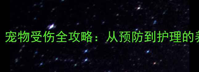 图片 家庭急救必备！宠物受伤全攻略：从预防到护理的养生级养护指南