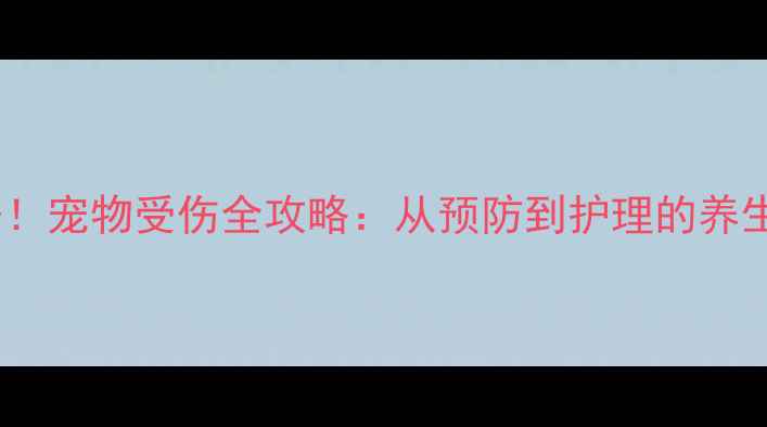 图片 家庭急救必备！宠物受伤全攻略：从预防到护理的养生级养护指南1