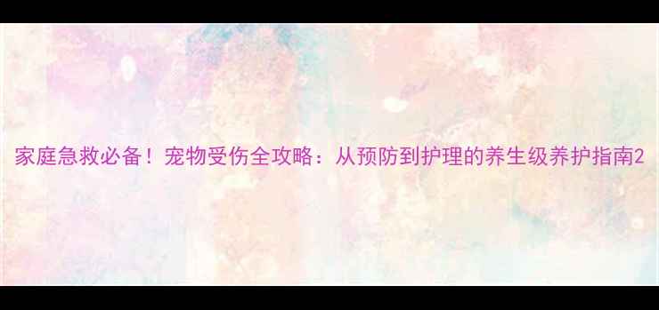 图片 家庭急救必备！宠物受伤全攻略：从预防到护理的养生级养护指南2