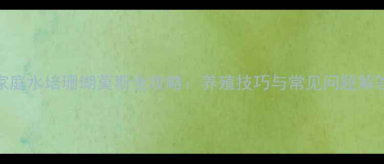 图片 家庭水培珊瑚莫斯全攻略：养殖技巧与常见问题解答