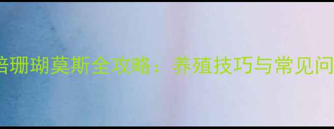 图片 家庭水培珊瑚莫斯全攻略：养殖技巧与常见问题解答1
