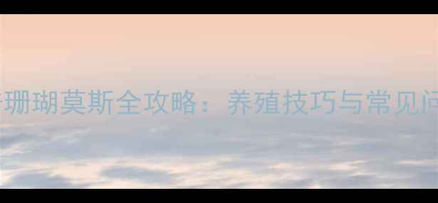 图片 家庭水培珊瑚莫斯全攻略：养殖技巧与常见问题解答2