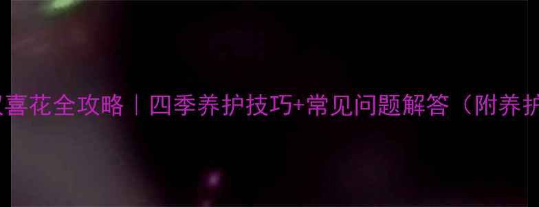 图片 家庭种植双喜花全攻略｜四季养护技巧+常见问题解答（附养护时间表）1