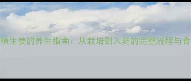 图片 家庭种植生姜的养生指南：从栽培到入药的完整流程与食疗配方