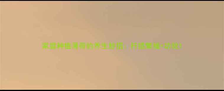 图片 家庭种植薄荷的养生妙招：扦插繁殖+功效1