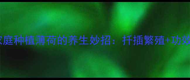 图片 家庭种植薄荷的养生妙招：扦插繁殖+功效2