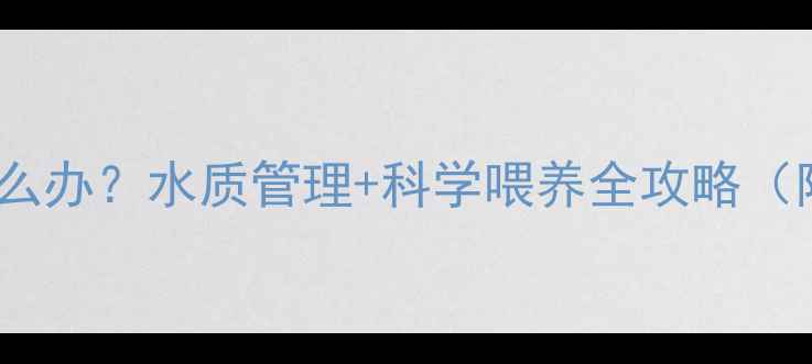 图片 家庭鱼缸掉鳞怎么办？水质管理+科学喂养全攻略（附实用急救法）1
