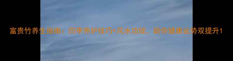 图片 富贵竹养生指南：四季养护技巧+风水功效，助你健康运势双提升1