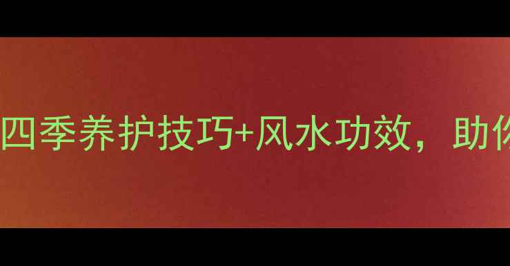 图片 富贵竹养生指南：四季养护技巧+风水功效，助你健康运势双提升2