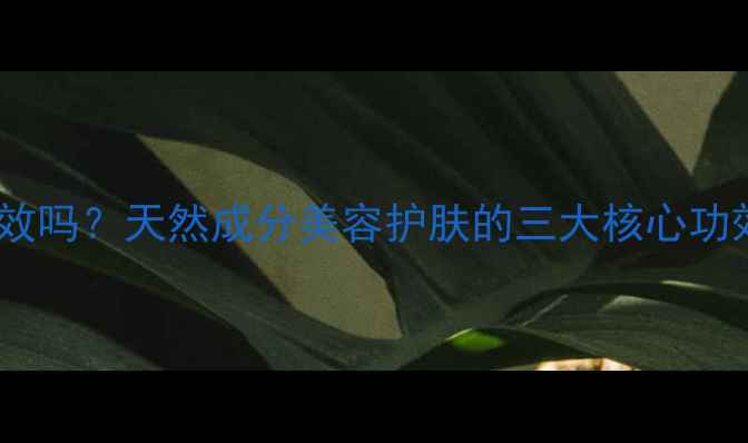 图片 小红瓶真的有效吗？天然成分美容护肤的三大核心功效与使用指南1