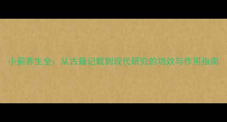 图片 小蓟养生全：从古籍记载到现代研究的功效与作用指南