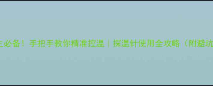 图片 居家养生必备！手把手教你精准控温｜探温针使用全攻略（附避坑指南）1
