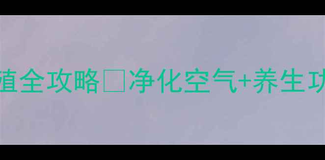 图片 居家必备！花叶青木养殖全攻略🌿净化空气+养生功效+新手必看养护指南2
