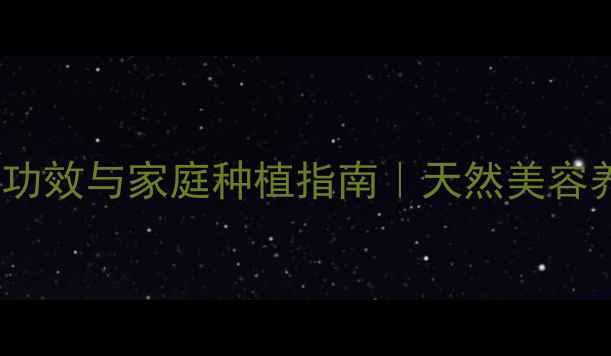 图片 山木香嫁接月季的养生功效与家庭种植指南｜天然美容养颜秘籍+药用花茶配方