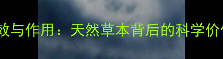 图片 川七的养生功效与作用：天然草本背后的科学价值与实用指南1
