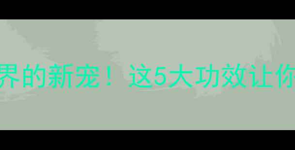 图片 干松子：养生界的新宠！这5大功效让你越吃越年轻✨