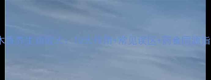 图片 广木香养生功效大：10大作用+常见误区+药食同源指南2