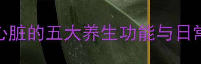 图片 心脏是健康的发动机：心脏的五大养生功能与日常保健指南（附食疗方）