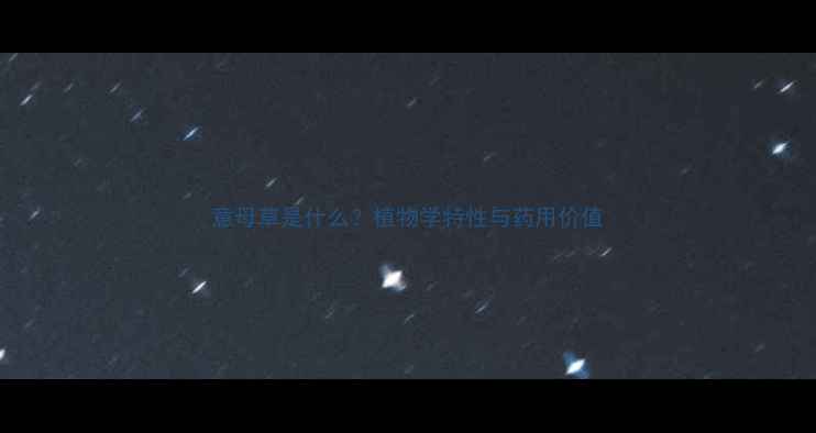 图片 意母草是什么？植物学特性与药用价值