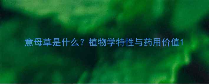 图片 意母草是什么？植物学特性与药用价值1