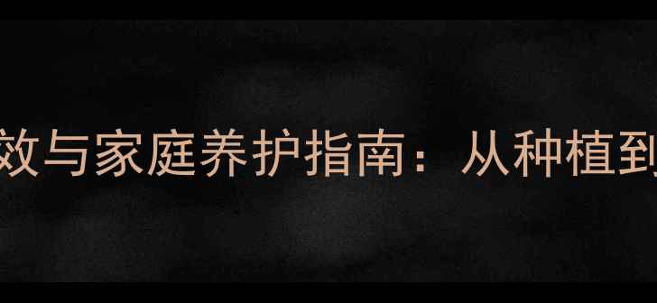 图片 斑马芦荟的养生功效与家庭养护指南：从种植到美容护肤的全方位