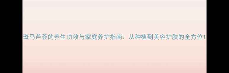 图片 斑马芦荟的养生功效与家庭养护指南：从种植到美容护肤的全方位1